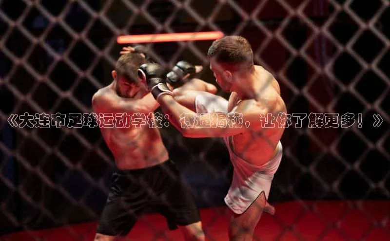 人人体育百度手机卫士《大连市足球运动学校：待遇揭秘，让你了解更多！》