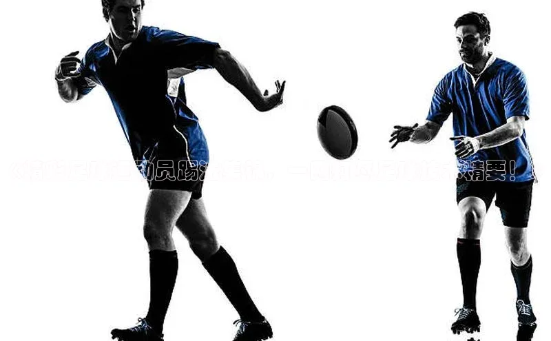 人人体育下载安装百度翻译App《精彩足球运动员踢法集锦，一网打尽足球技术精要！》