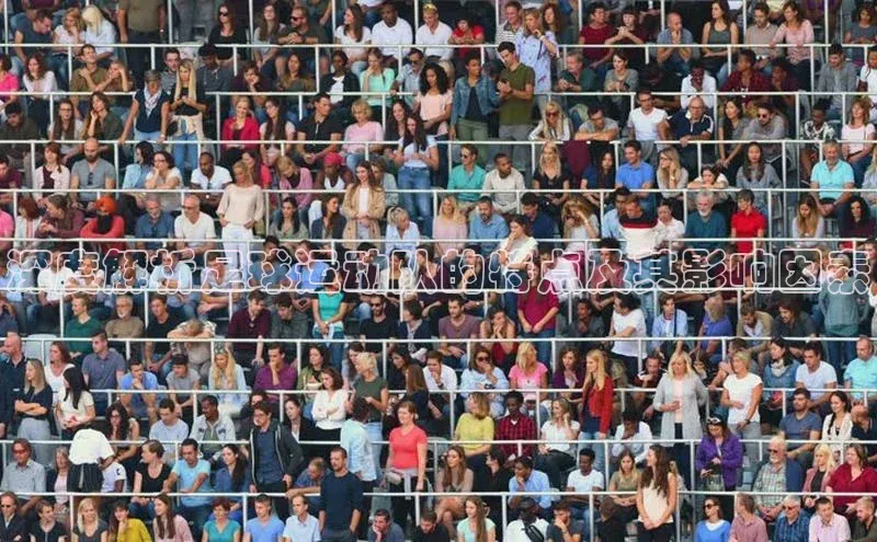 人人体育安卓下载皮阿诺深度解析足球运动队的特点及其影响因素