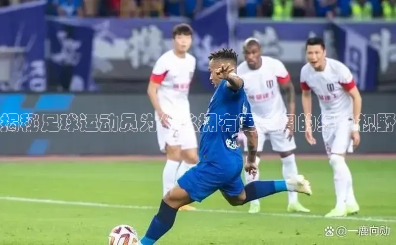 人人体育直播篮球天键股份揭秘足球运动员为什么拥有更广阔的绿色视野