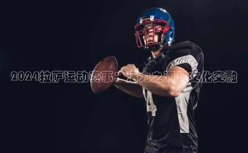 2024拉萨运动赛事：活力之源与文化交融