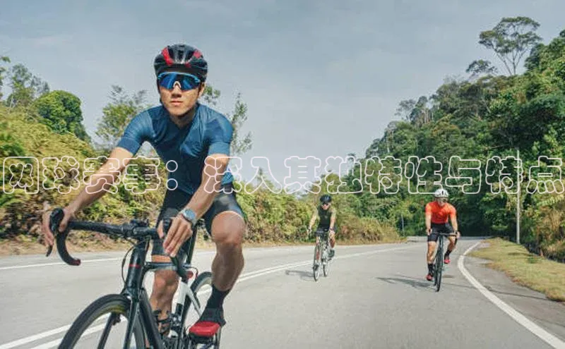 网球赛事：深入其独特性与特点