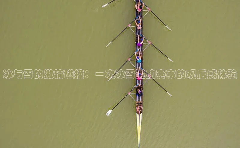 冰与雪的激情碰撞：一次冰雪运动赛事的观后感体验