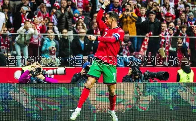 运动的魅力：<运动赛事知识科普图片>与