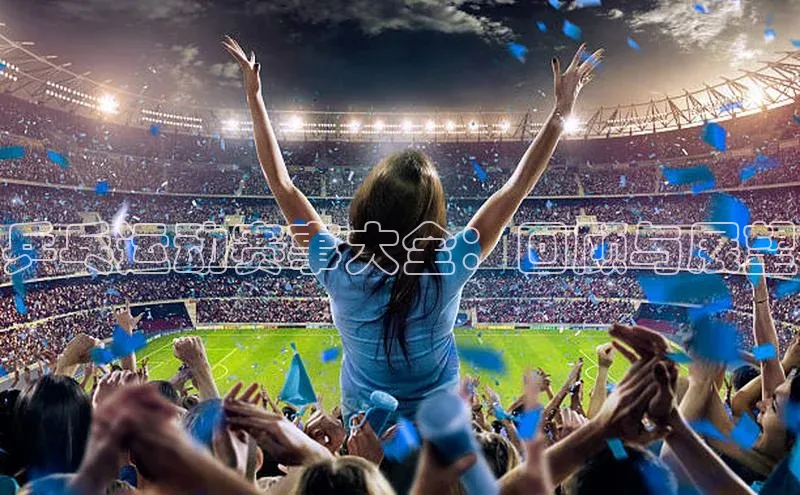 乒乓运动赛事大全：回顾与展望