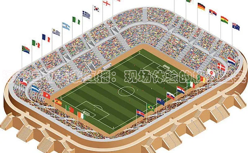 淳平运动赛事直播：现场体验的极致盛宴