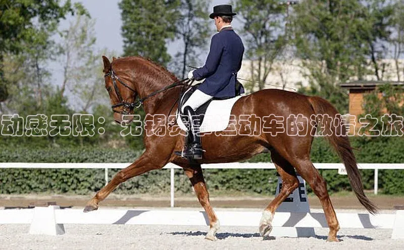 动感无限：无锡赛事运动车的激情之旅